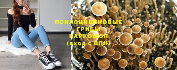 тгк Алексин