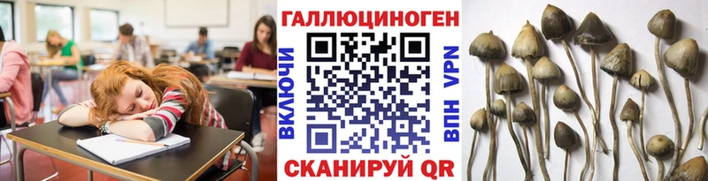 Галлюциногенные грибы мицелий  Полевской 