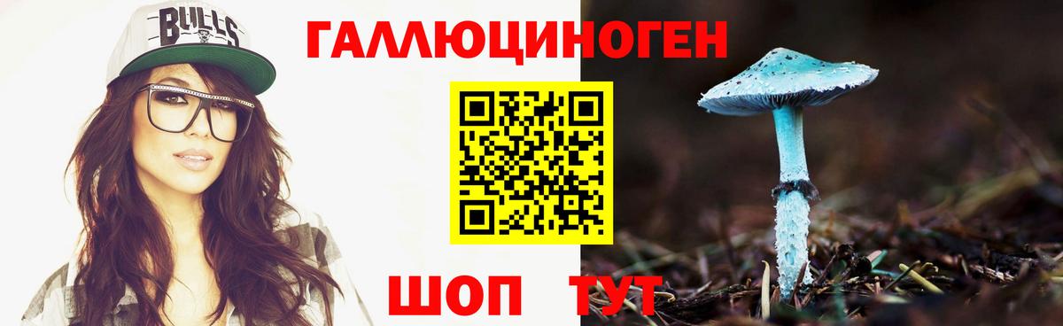 Полевской  Псилоцибиновые грибы мицелий  Вход с VPN 
