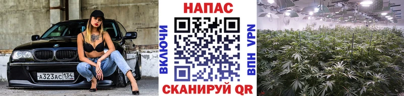 ссылка на мегу ONION  Полевской  Шишки марихуана LSD WEED 